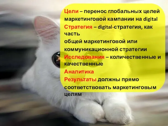 Цели – перенос глобальных целей маркетинговой кампании на digital Стратегия – digital-стратегия,