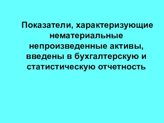 Показатели, характеризующие нематериальные непроизведенные активы, введены в бухгалтерскую и статистическую отчетность