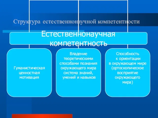 Структура естественнонаучной компетентности