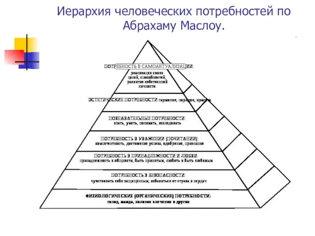 Иерархия человеческих потребностей по Абрахаму Маслоу.