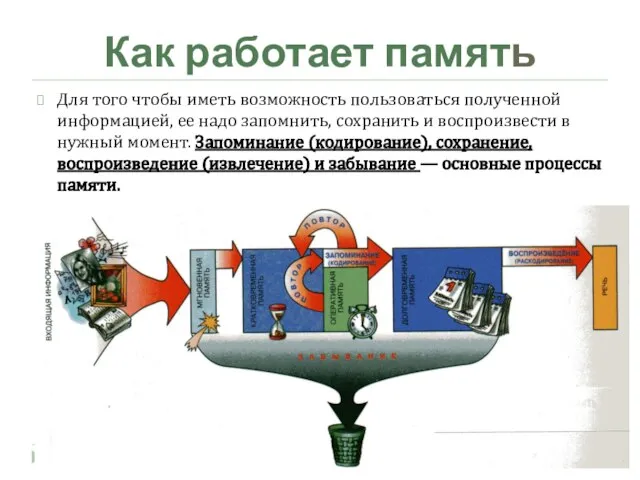 Как работает память Для того чтобы иметь возможность пользоваться полученной информацией, ее