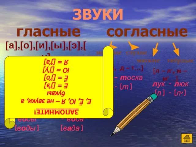 ударные безударные [а],[о],[и],[ы],[э],[у] сильная позиция слабая позиция (не меняют своё качество) (меняют