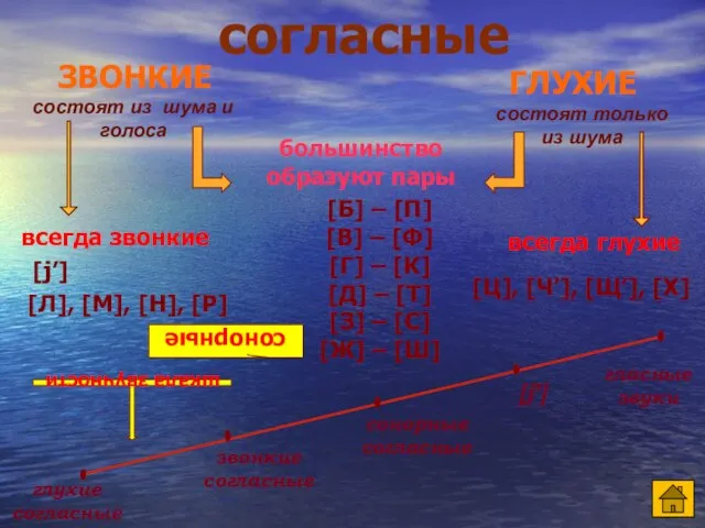 большинство образуют пары всегда звонкие всегда глухие [Б] – [П] [В] –