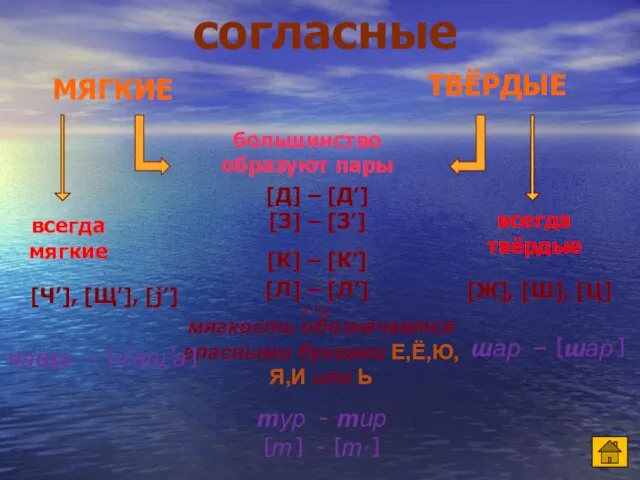 большинство образуют пары всегда мягкие всегда твёрдые [Д] – [Д’] [З] –