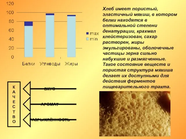 Хлеб имеет пористый, эластичный мякиш, в котором белки находятся в оптимальной степени