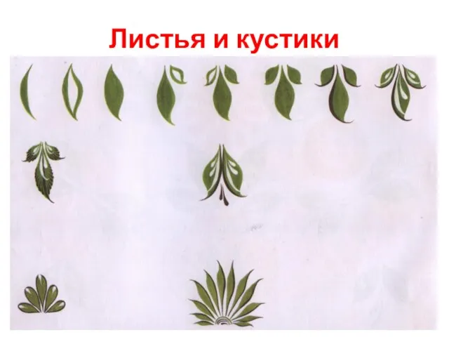 Листья и кустики