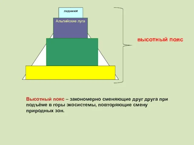 Высотный пояс – закономерно сменяющие друг друга при подъёме в горы экосистемы, повторяющие смену природных зон.