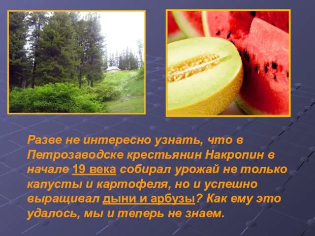 Разве не интересно узнать, что в Петрозаводске крестьянин Накропин в начале 19