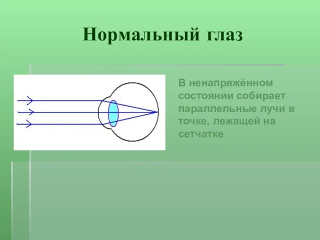 Нормальный глаз В ненапряжённом состоянии собирает параллельные лучи в точке, лежащей на сетчатке