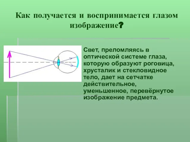 Как получается и воспринимается глазом изображение? Свет, преломляясь в оптической системе глаза,