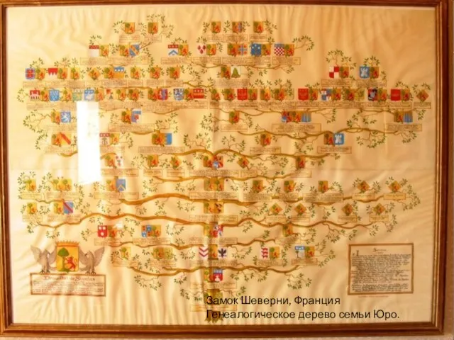 Замок Шеверни, Франция Генеалогическое дерево семьи Юро.