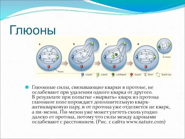 Глюоны Глюонные силы, связывающие кварки в протоне, не ослабевают при удалении одного