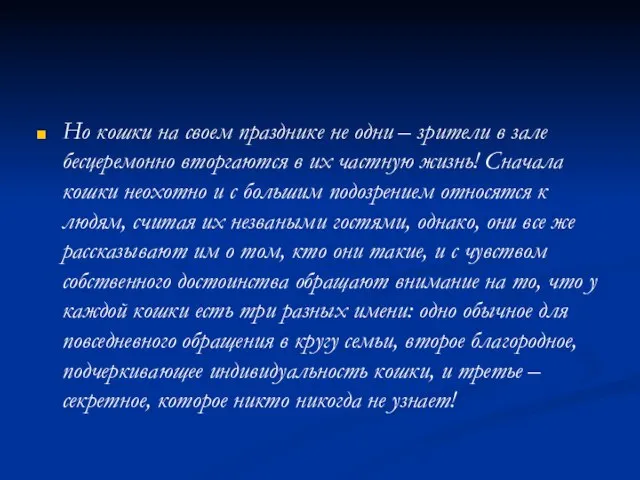 Но кошки на своем празднике не одни – зрители в зале бесцеремонно