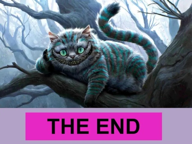 THE END