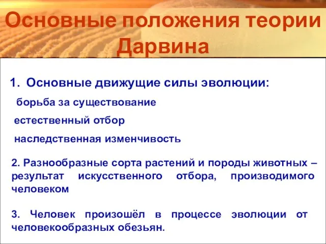 Основные положения теории Дарвина Основные движущие силы эволюции: борьба за существование естественный