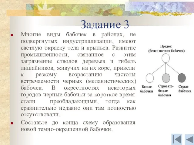 Задание 3 Многие виды бабочек в районах, не подвергнутых индустриализации, имеют светлую