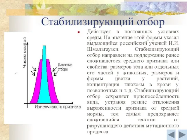 Действует в постоянных условиях среды. На значение этой формы указал выдающийся российский