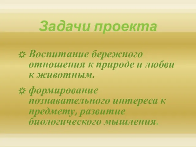 Задачи проекта Воспитание бережного отношения к природе и любви к животным. формирование