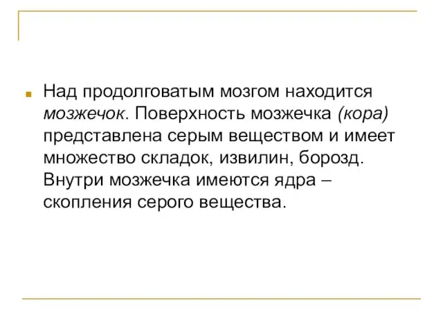 Над продолговатым мозгом находится мозжечок. Поверхность мозжечка (кора) представлена серым веществом и