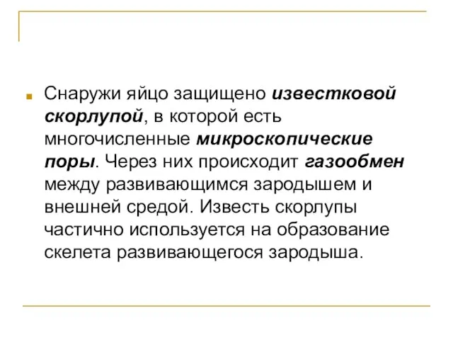 Снаружи яйцо защищено известковой скорлупой, в которой есть многочисленные микроскопические поры. Через