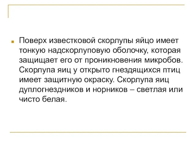 Поверх известковой скорлупы яйцо имеет тонкую надскорлуповую оболочку, которая защищает его от