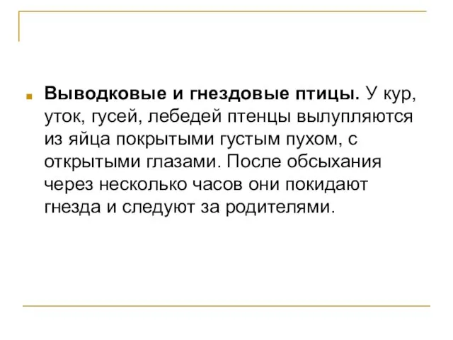 Выводковые и гнездовые птицы. У кур, уток, гусей, лебедей птенцы вылупляются из