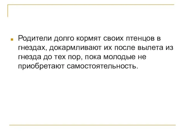 Родители долго кормят своих птенцов в гнездах, докармливают их после вылета из