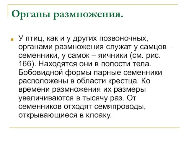 Органы размножения. У птиц, как и у других позвоночных, органами размножения служат