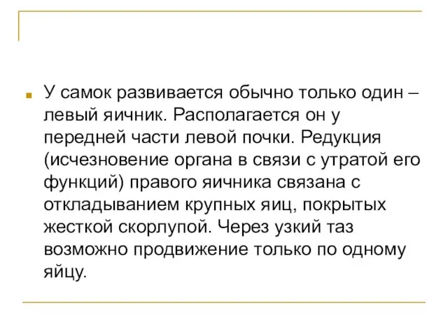 У самок развивается обычно только один – левый яичник. Располагается он у