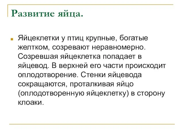 Развитие яйца. Яйцеклетки у птиц крупные, богатые желтком, созревают неравномерно. Созревшая яйцеклетка