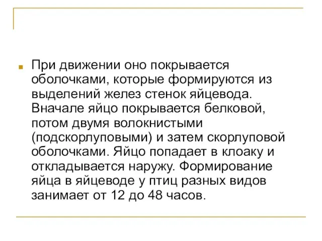 При движении оно покрывается оболочками, которые формируются из выделений желез стенок яйцевода.