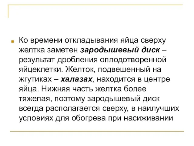 Ко времени откладывания яйца сверху желтка заметен зародышевый диск – результат дробления