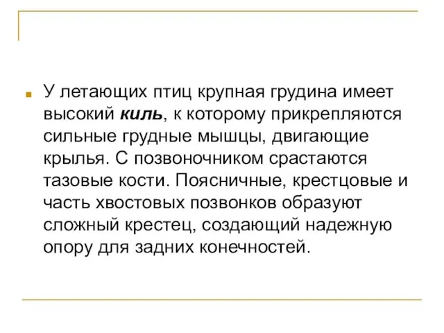 У летающих птиц крупная грудина имеет высокий киль, к которому прикрепляются сильные