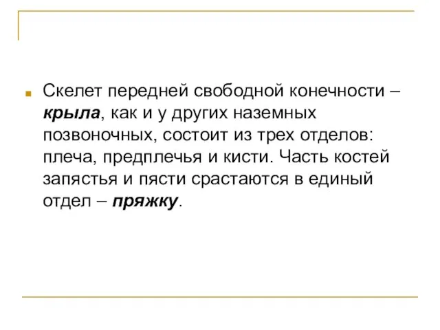 Скелет передней свободной конечности – крыла, как и у других наземных позвоночных,