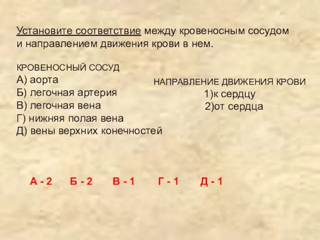 Установите соответствие между кровеносным сосудом и направлением движения крови в нем. КРОВЕНОСНЫЙ