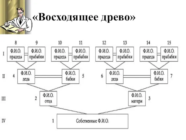 «Восходящее древо»