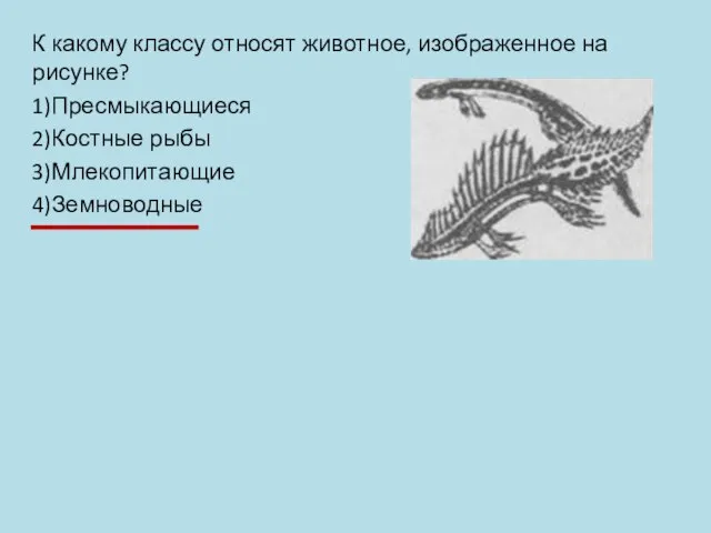 К какому классу относят животное, изображенное на рисунке? 1)Пресмыкающиеся 2)Костные рыбы 3)Млекопитающие 4)Земноводные