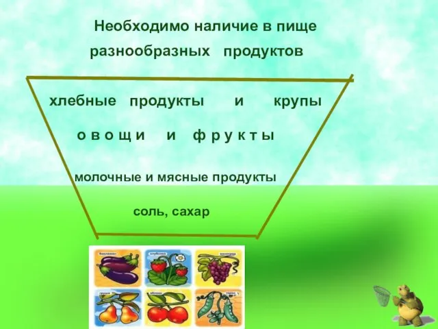 Необходимо наличие в пище разнообразных продуктов хлебные продукты и крупы о в