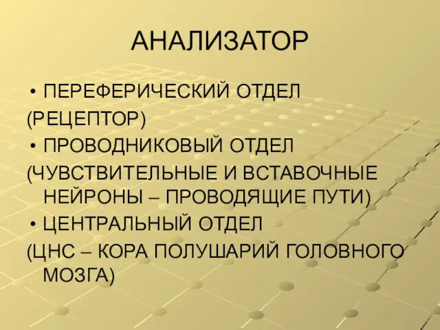 АНАЛИЗАТОР ПЕРЕФЕРИЧЕСКИЙ ОТДЕЛ (РЕЦЕПТОР) ПРОВОДНИКОВЫЙ ОТДЕЛ (ЧУВСТВИТЕЛЬНЫЕ И ВСТАВОЧНЫЕ НЕЙРОНЫ – ПРОВОДЯЩИЕ