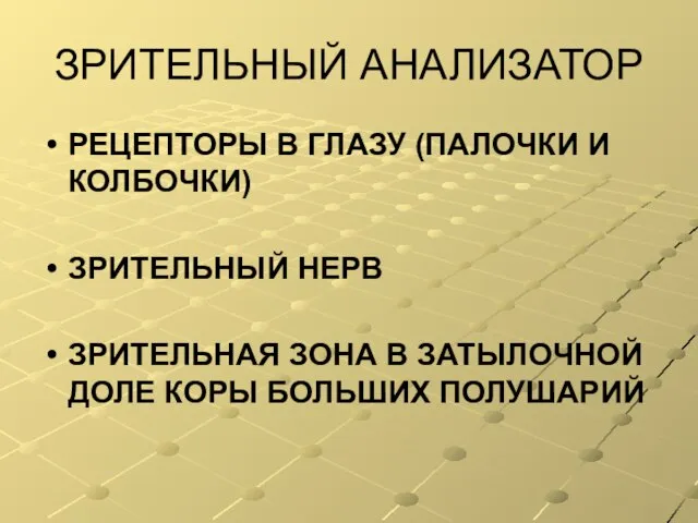 ЗРИТЕЛЬНЫЙ АНАЛИЗАТОР РЕЦЕПТОРЫ В ГЛАЗУ (ПАЛОЧКИ И КОЛБОЧКИ) ЗРИТЕЛЬНЫЙ НЕРВ ЗРИТЕЛЬНАЯ ЗОНА