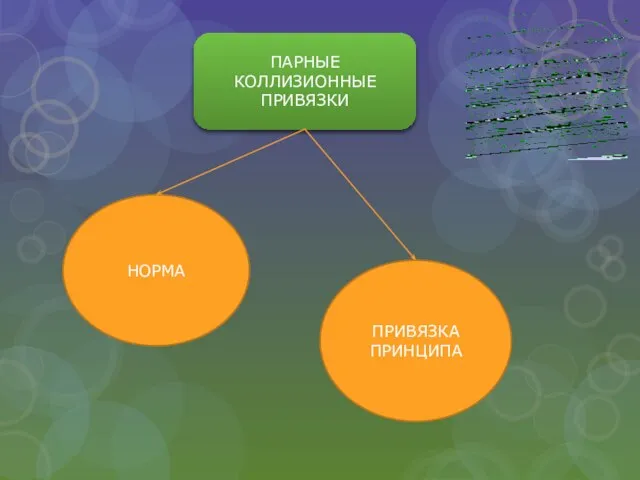 ПАРНЫЕ КОЛЛИЗИОННЫЕ ПРИВЯЗКИ НОРМА ПРИВЯЗКА ПРИНЦИПА