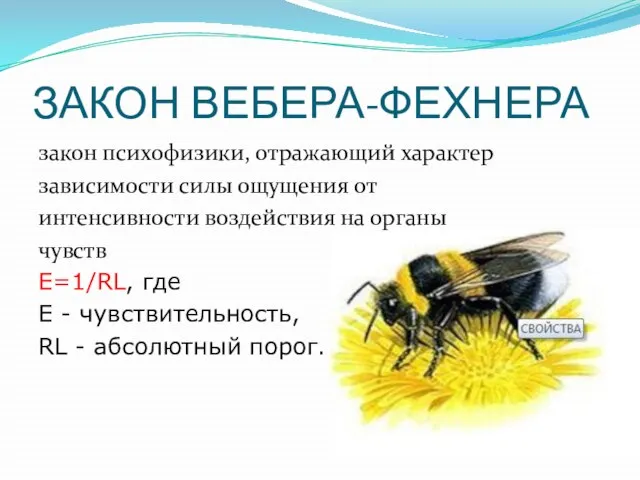 ЗАКОН ВЕБЕРА-ФЕХНЕРА закон психофизики, отражающий характер зависимости силы ощущения от интенсивности воздействия