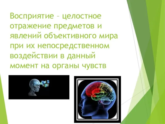 Восприятие – целостное отражение предметов и явлений объективного мира при их непосредственном