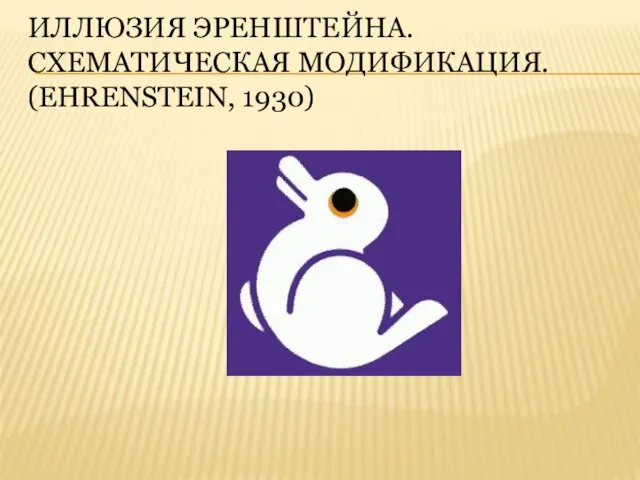 Иллюзия Эренштейна. Схематическая модификация. (Ehrenstein, 1930)