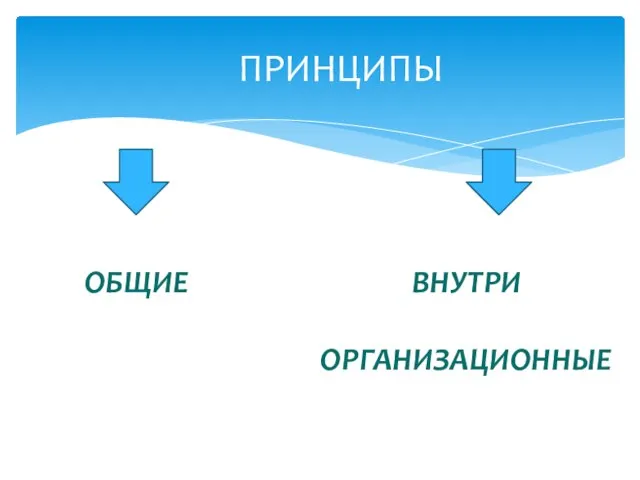 ПРИНЦИПЫ ОБЩИЕ ВНУТРИ ОРГАНИЗАЦИОННЫЕ