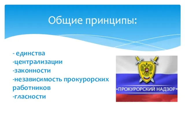 Общие принципы: - единства -централизации -законности -независимость прокурорских работников -гласности