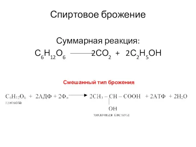 Спиртовое брожение Суммарная реакция: С6Н12О6 2СО2 + 2С2Н5ОН Смешанный тип брожения