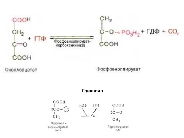 Гликолиз