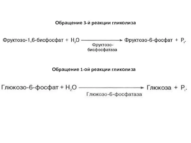 Обращение 3-й реакции гликолиза Обращение 1-ой реакции гликолиза