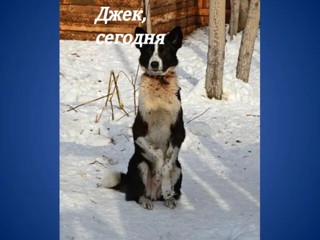 Джек, сегодня